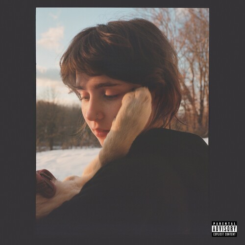 新品未開封 入手困難グリーン盤 Clairo Sling レコード LP Amazon.co.jp: グリーン盤 Clairo Sling レコード LP : おもちゃ